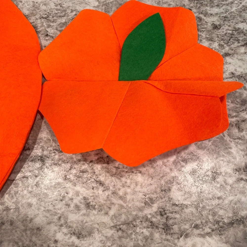 Kids Jack o Lantern Costume